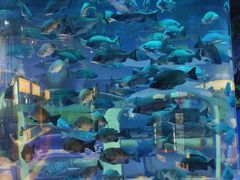 -海合安青岛极地海洋公园