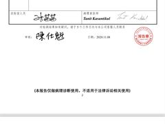 -北京派仕佳德动物医院·超导核磁·CT·神经科·骨科·内外科·急重症管理中心