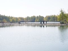 -金塔沙漠胡杨林景区