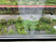 -磐安十八涡景区