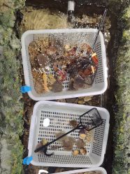 -钓虾工场·钓虾·赶海(回龙观店)