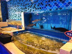 -乔哥铭洋海鲜自助(皇城恒隆广场店)