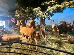 -国家自然博物馆