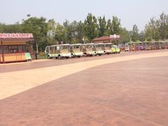 -武清南湖绿博园