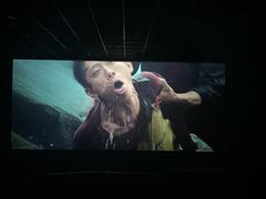 -保定金棕榈先天下国际影城(LUXE)