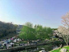 -羊山湖公园