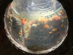 -珠海长隆海洋王国