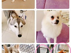 -怪兽屋·羊驼·猫咖·狗咖(俊华广场店)