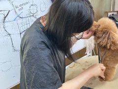 -鑫艺宠物美容培训学校