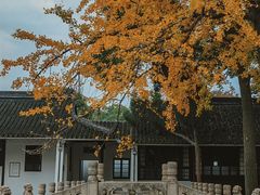 -西园戒幢律寺