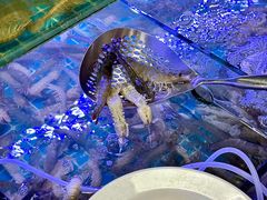 -海韵之星邮轮水会(明发商业广场店)