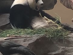 -宁波野生动物园