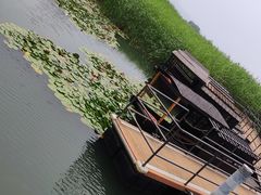 -太湖湖滨国家湿地公园-停车场