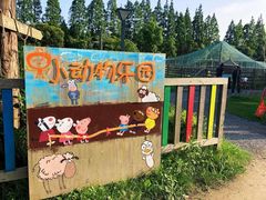 -前小桔亲子创意农场·草莓采摘·露营烧烤