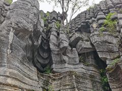 -梭布垭石林景区