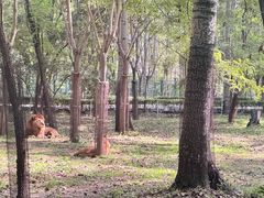 -秦皇岛野生动物园