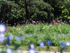 -上海滨江森林公园