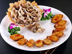 -聚福宝合苑食府(南头镇店)