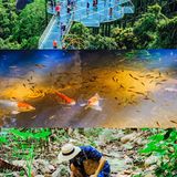 三亚旅游攻略 | 去了N次三亚我才知道的这些