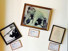 -信不信由你博物馆