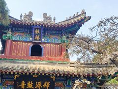 -洛阳白马寺