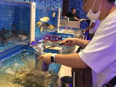 -乔哥铭洋海鲜自助(皇城恒隆广场店)