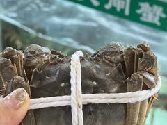 -品鲜村农家菜·阳澄湖大闸蟹(总店)