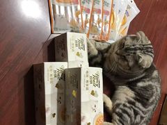 -纳吉亚猫专科动物医院·北北分院