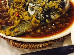 -庐州太太(双岗店)