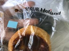 -蒲公英(五里店)