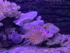 -秦皇岛新澳海底世界