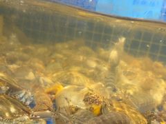 -小时候焗海鲜(鄞州万达店)