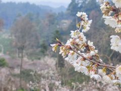 -樱桃山旅游景区