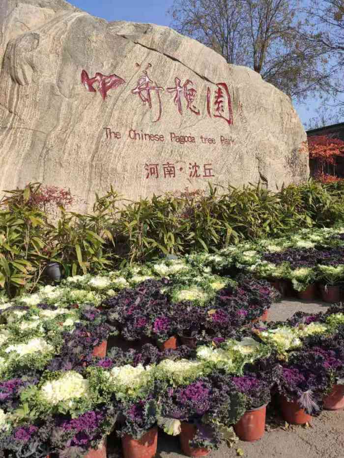 中华槐园-"中华槐园,高速路口的一个公园,以槐树命名.