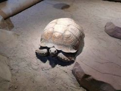 -酷嗒动物文化乐园(cutezoo西溪乐天城店)