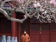 -潭柘寺景区