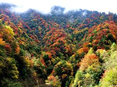 -广元唐家河嘉怡客栈