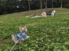 -国际非物质文化遗产博览园