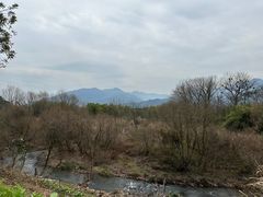 -江西龙虎山景区