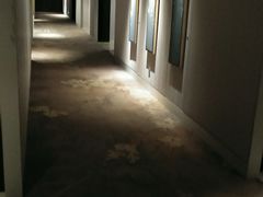 -成都保利公园皇冠假日酒店(熊猫基地店)
