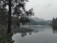 -重庆彩云湖湿地公园