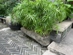 -大水车公馆·顺德菜·妈姐菜(均安店)