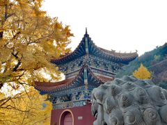 -遵化市禅林寺古银杏风景园