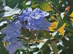 -三仟津花园咖啡馆