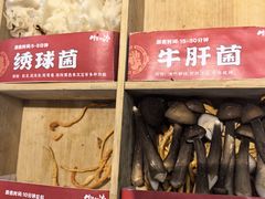 -生活如沸·顺德水牛奶火锅(大学路店)