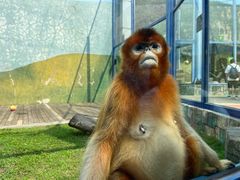 -大连森林动物园