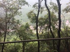 iphone_upload_pic-灵栖洞天