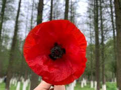 -艾溪湖湿地公园