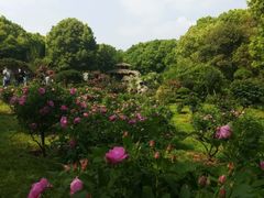 -东湖落雁景区