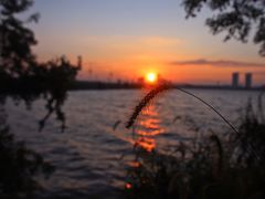 -瑶湖郊野森林公园